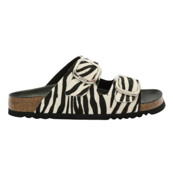 SCHOLL - MULES NOELLE ZÈBRE